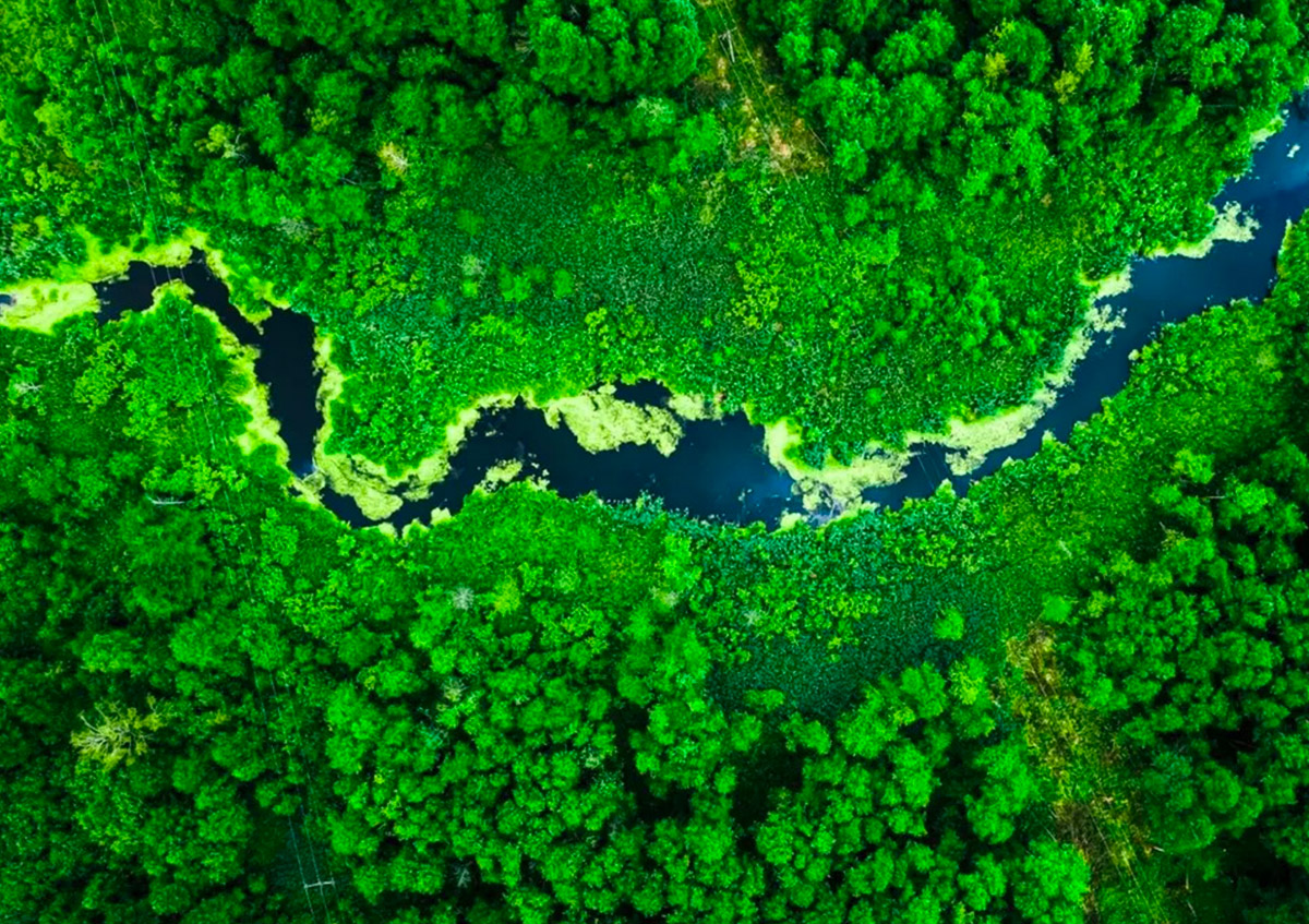 thumb-related-content-sustainability