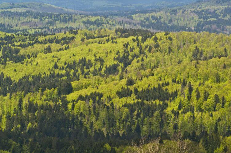 039_20100509_nr_1001844_nrosing