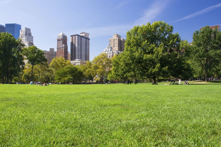 istock_000051948726_full