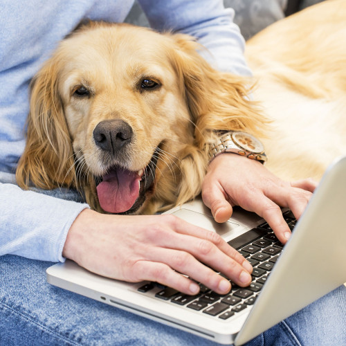 Entre le domicile et le bureau, le travail hybride requiert de meilleures installations