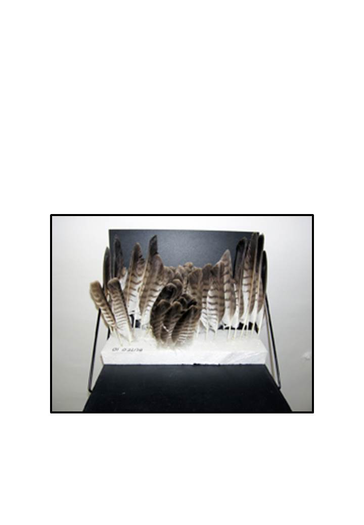 case_study_cover_2.pptx