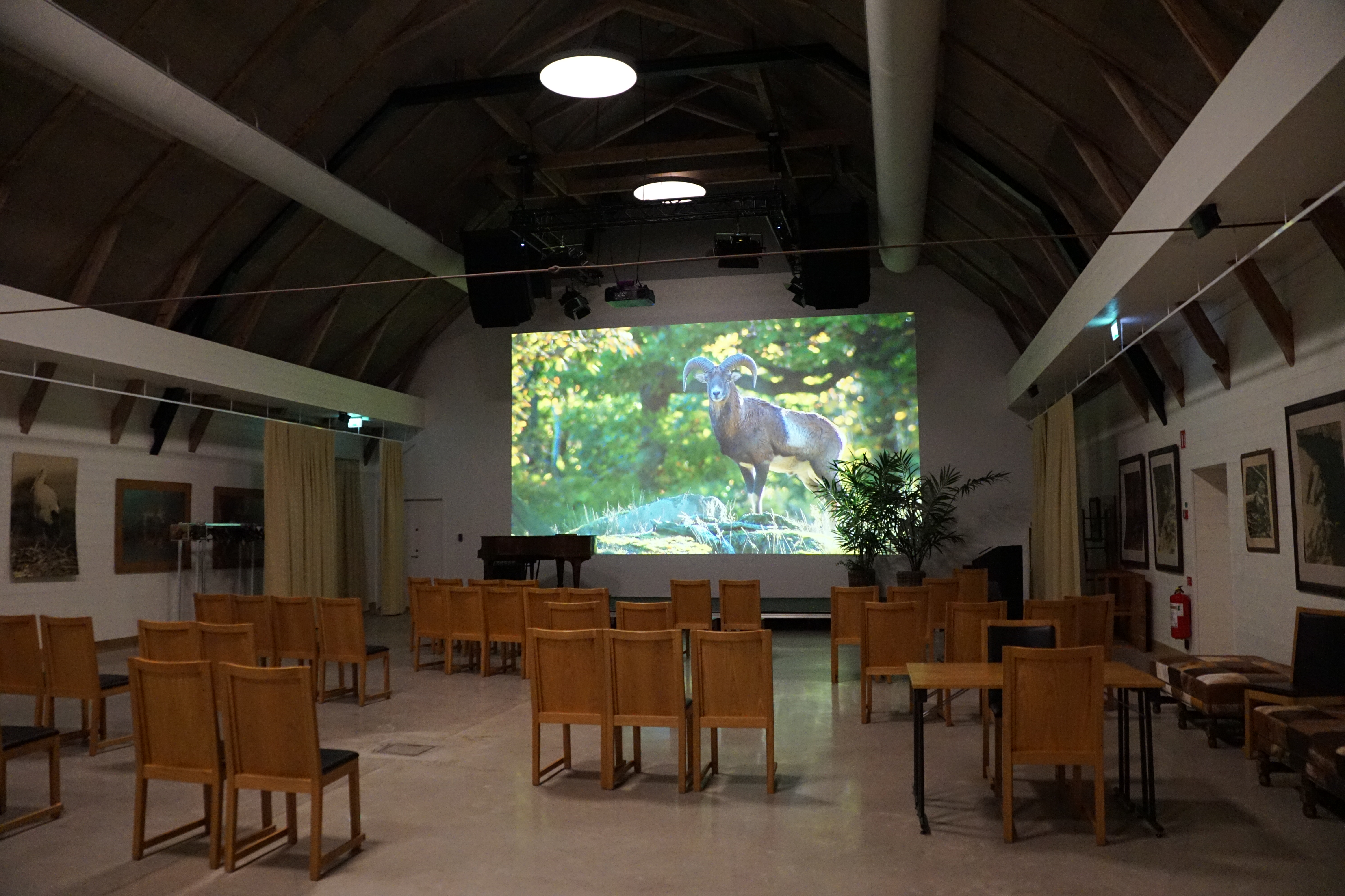 Starkare mötesupplevelser när Epson 3LCD-teknik möter naturen