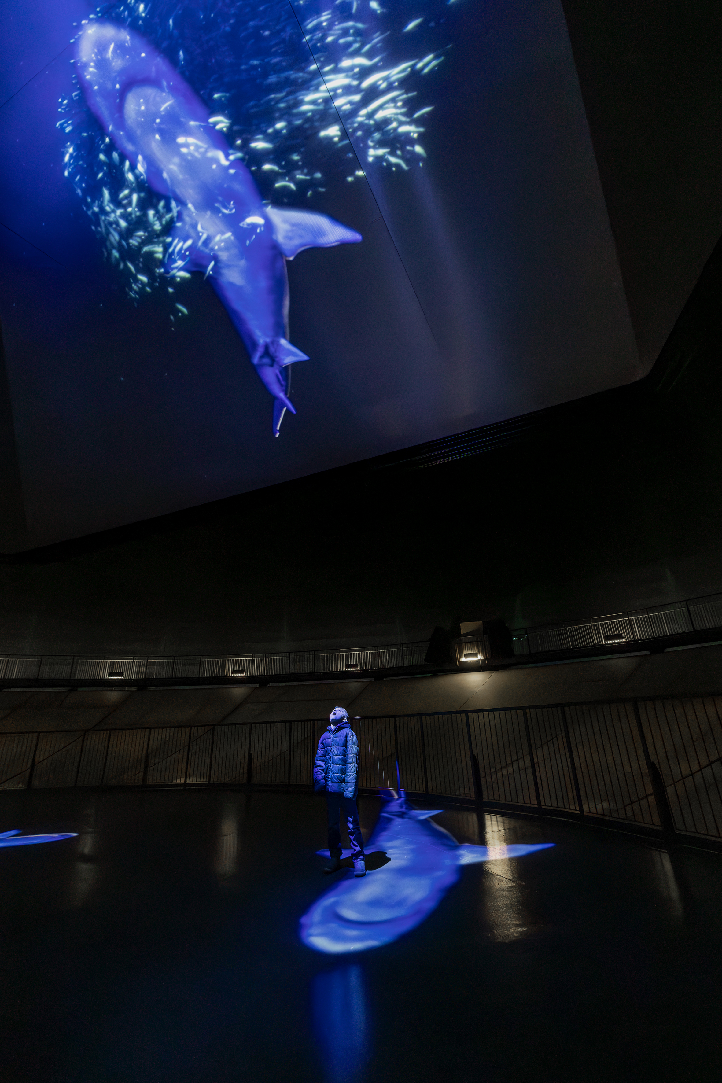Epson Projektoren für immersive Großinstallation – Entstehung „Die Welle“