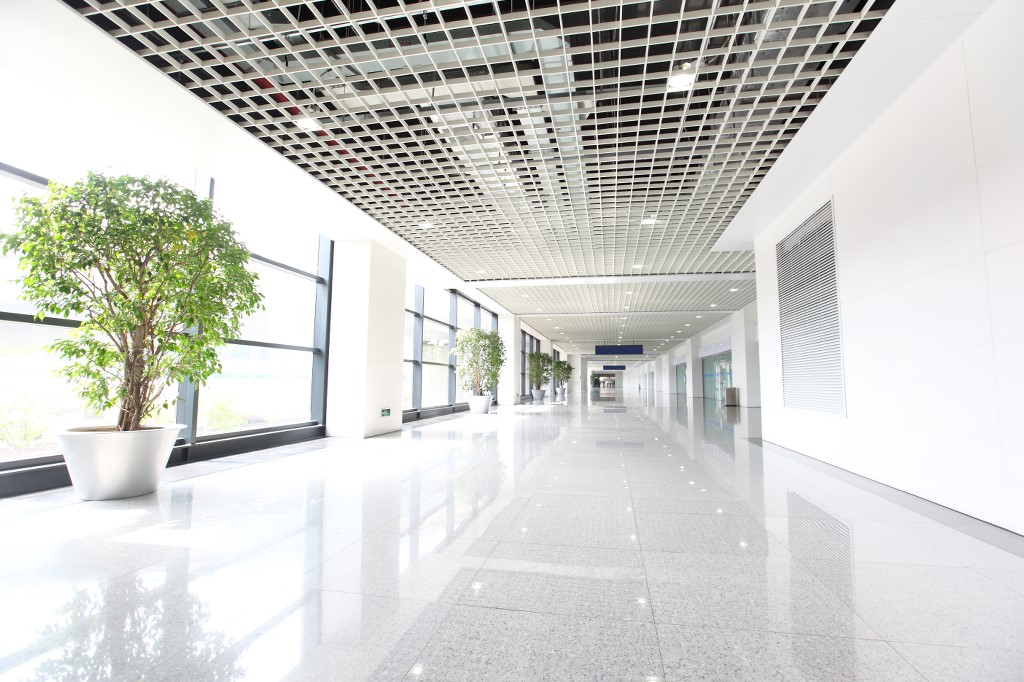 rfna-_green_trees_in_corridor_7