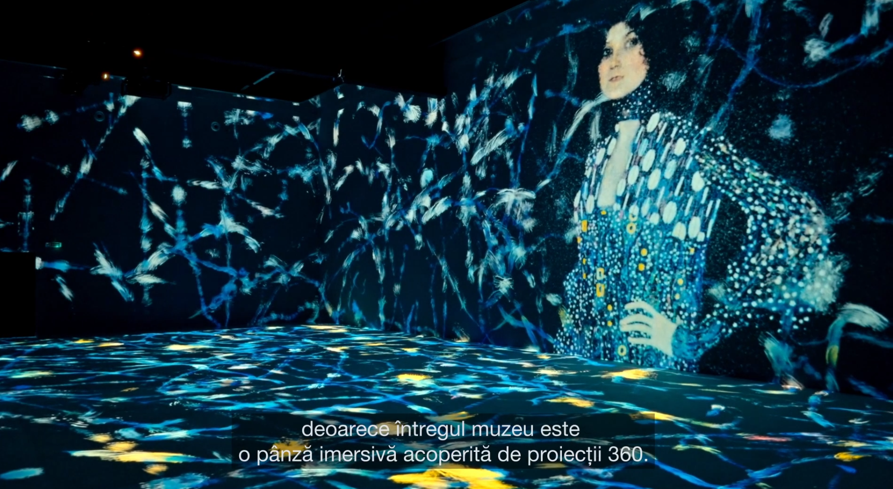 MINA Immersive Projection